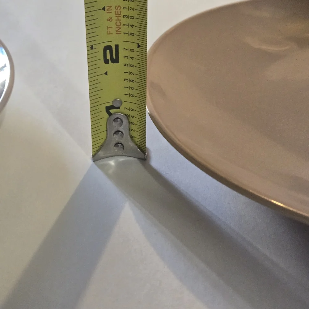 Set of Two Pink Dinner Plates